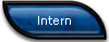 Intern